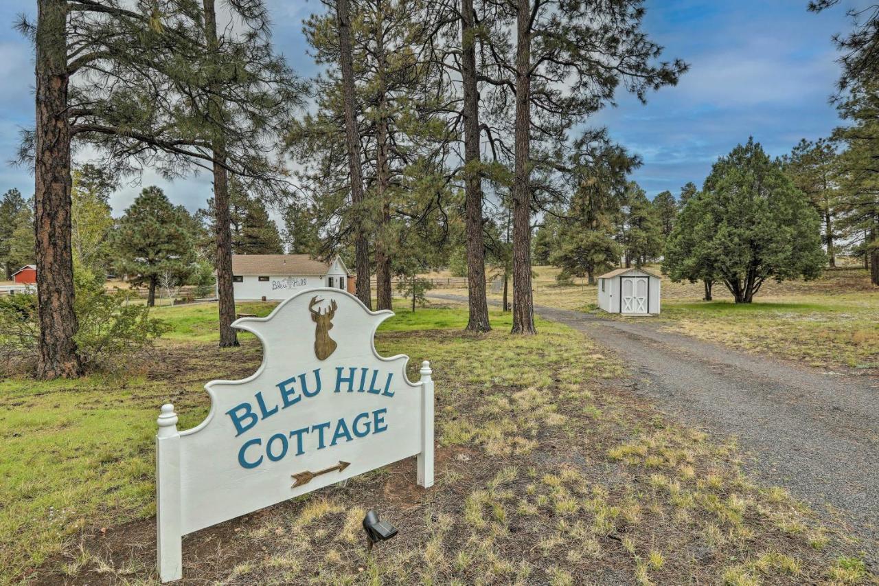 Ski Snow Bowl And Hike Cozy Flagstaff Cottage! Екстериор снимка